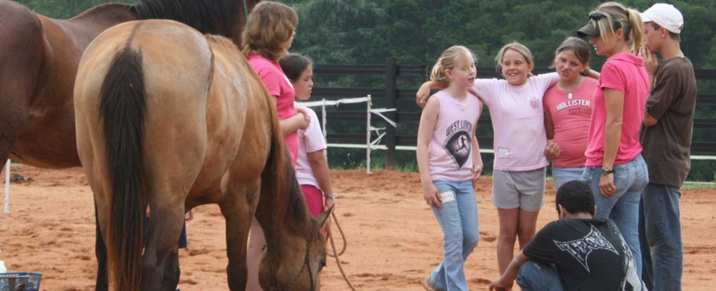 Volunteer Shepherd Youth Ranch